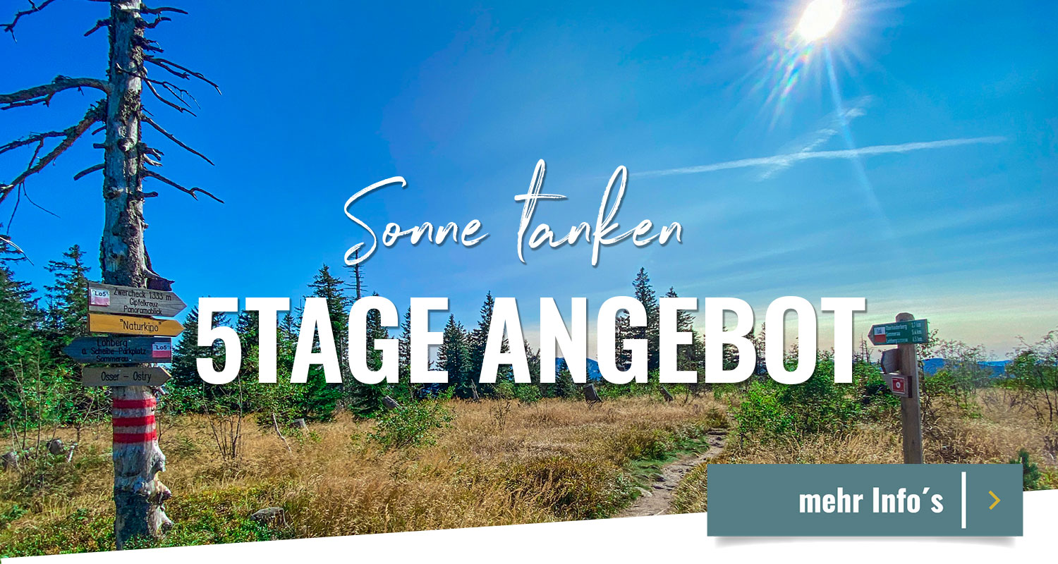 5Tage Button 1